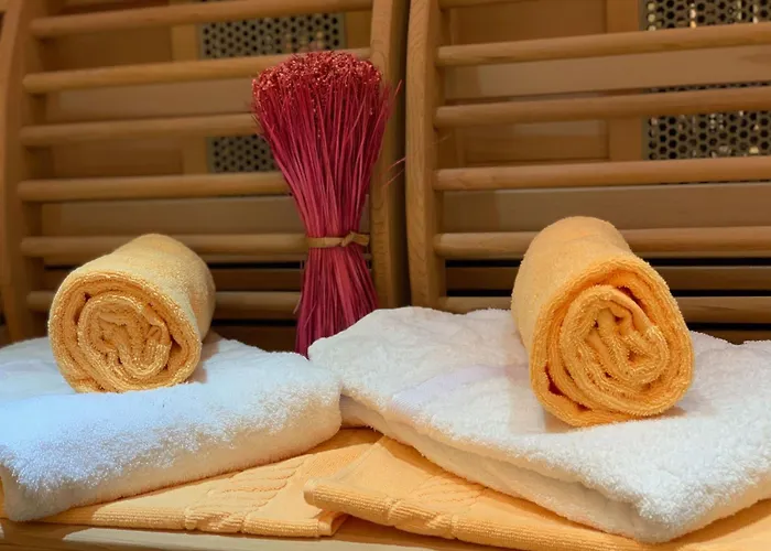 Mit Infrarotwaermekabine By Interhome Apartment *